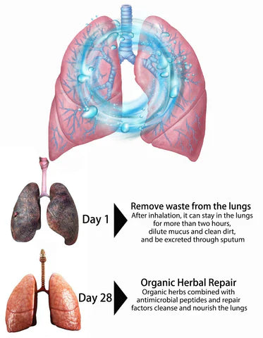 AEXZR™ Organic Herbal Lung Cleanse Repair Nasal Spray