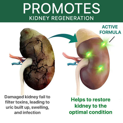 ✅Official Store - Walgreen Pharmacy| AEXZR™ Kidney Boost Spray