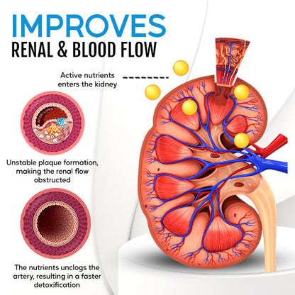 ✅Official Store - Hypethetic Pharmacy| Healthlux™ Kidney Boost & Care Inhaler