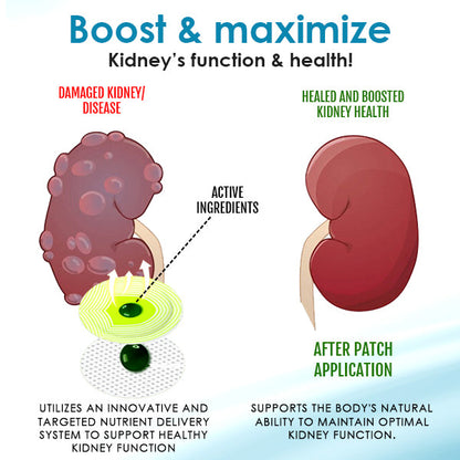 ✅Official Store - Hypethetic Pharmacy| AEXZR™ Kidney Boost Patch